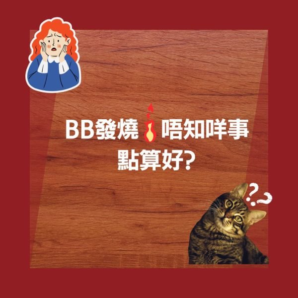 文王占卦 - Image 3